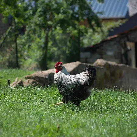 Nocleg ze śniadaniem D'hotes L'hirondelle 3*